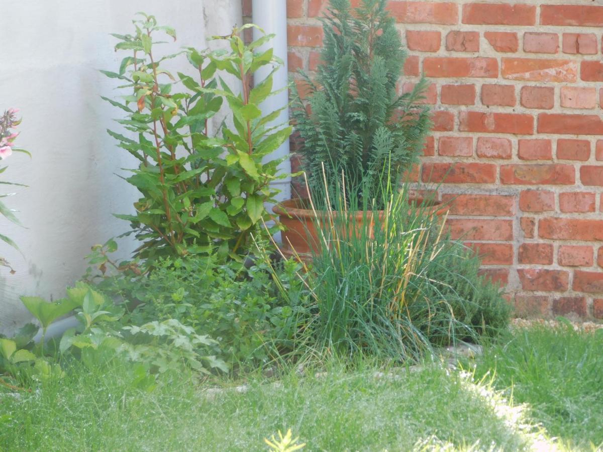 Vakantiewoning Louis Ferienhaus